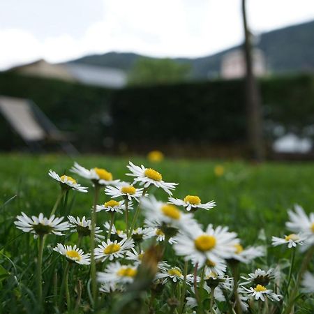 Apartamento con jardín en Cerdanya Err Exterior foto