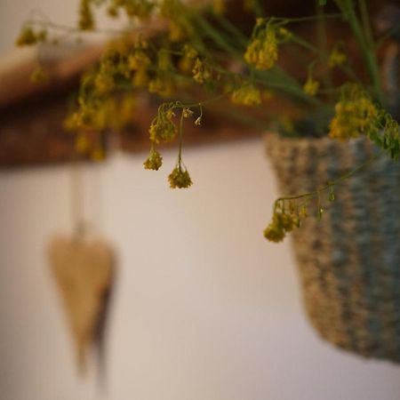Apartamento con jardín en Cerdanya Err Exterior foto