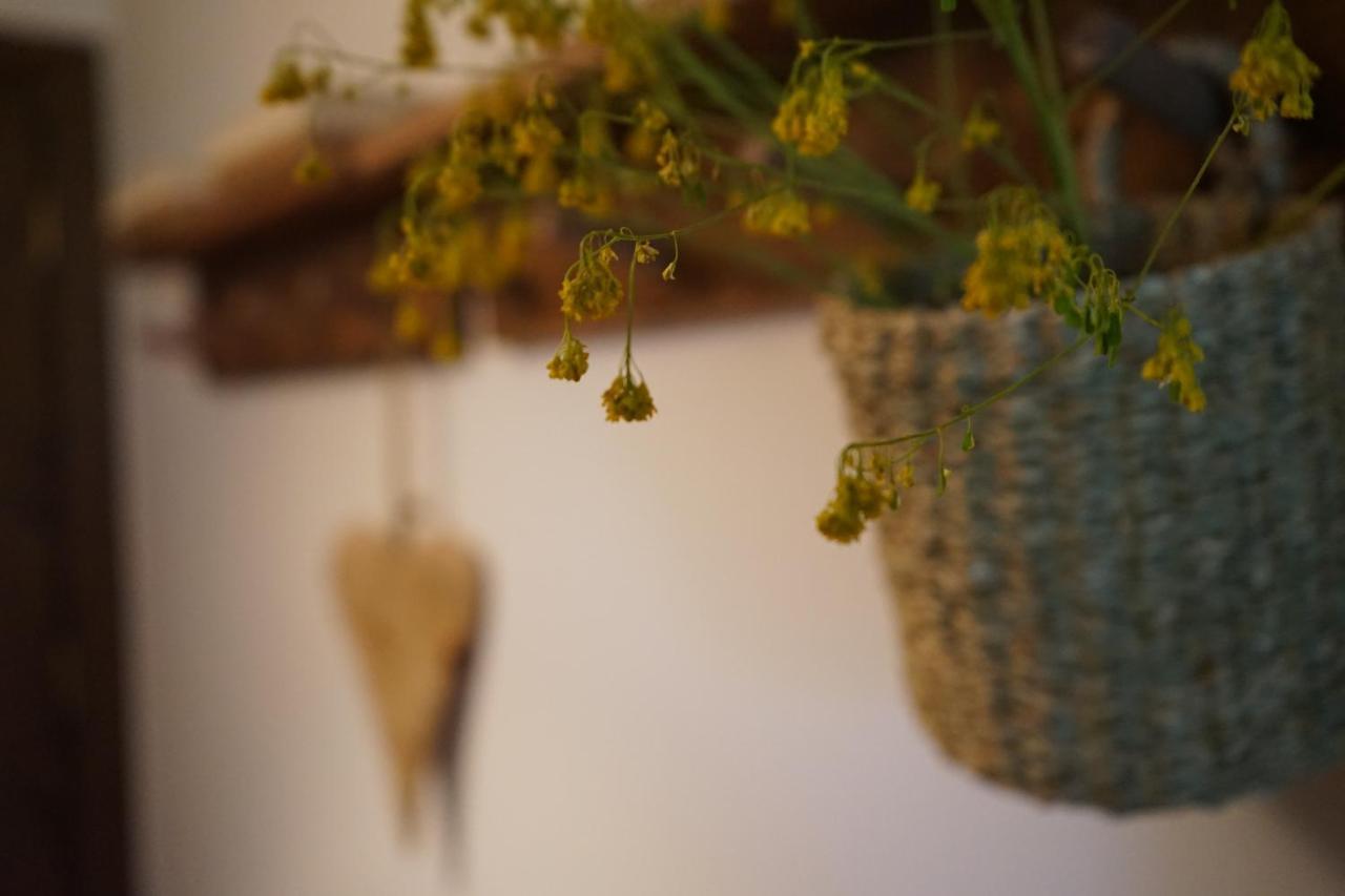 Apartamento con jardín en Cerdanya Err Exterior foto
